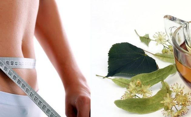 5 plantes pour stimuler la perte de poids
