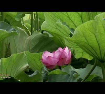 Bonne soirée à vous tous & toutes...