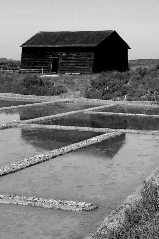 Album - Les Marais-salants de Guerande en noir et blanc