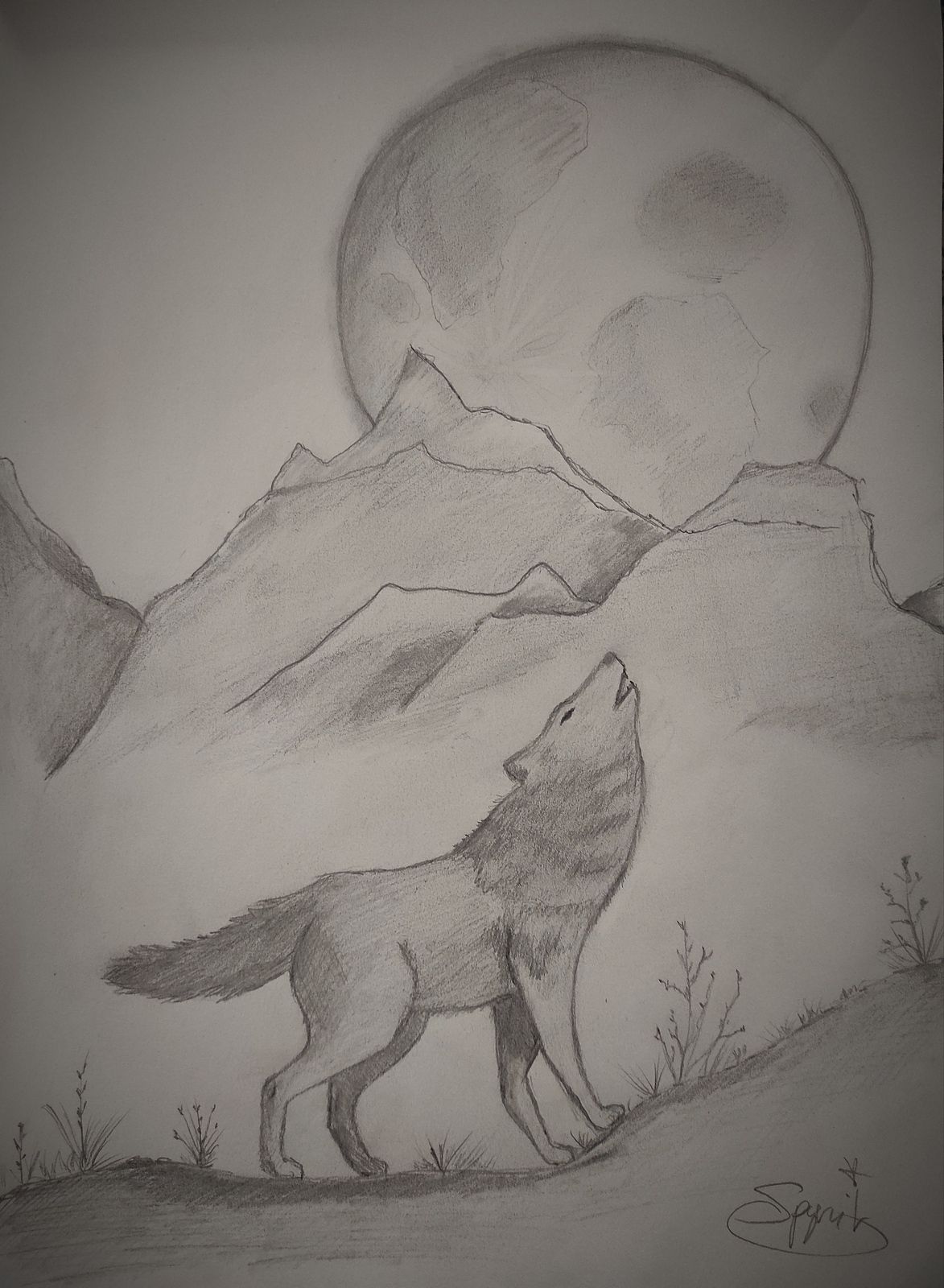 Dessin De Loup Qui Hurle à La Lune Facile dessin d'un loup qui hurle à la lune - Spyrit