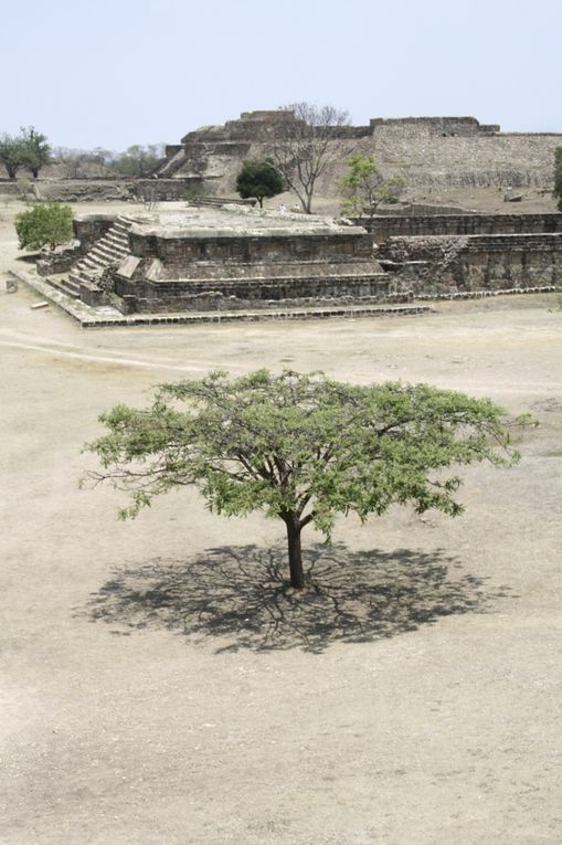 Situé sur une colline à 10 km de la ville d’Oaxaca, ce site archéologique qui aurait été fondé par le peuple olmèque a connu son apogée lors de la période zapotèque entre 200 et 600 après J.-C.