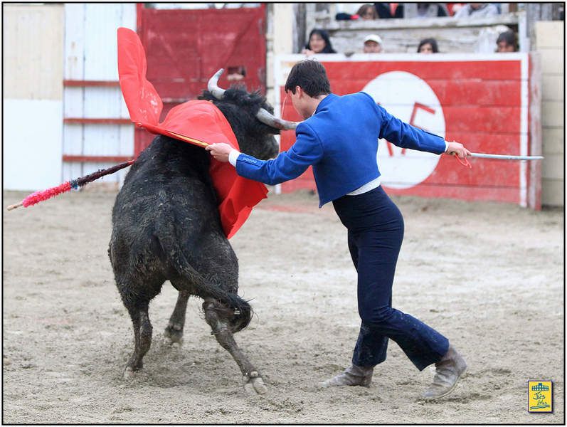 DIAPORAMA DE LA FAENA DE VINCENT PEREZ