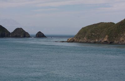 De retour sur l'île du Nord...