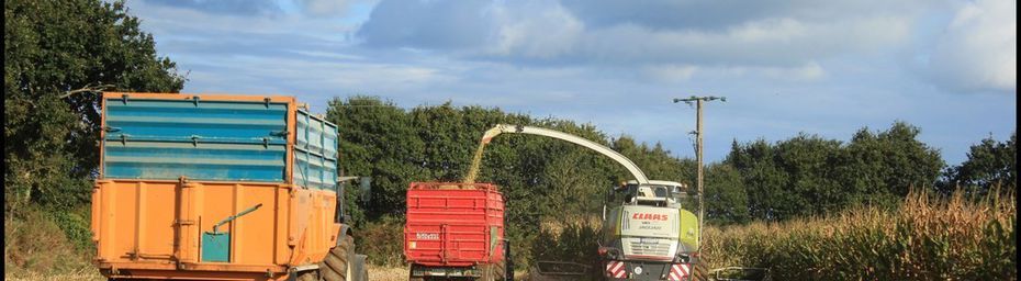 Ensilage de maïs 2016, Claas jaguar 970