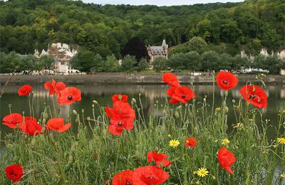 Rives de rêve