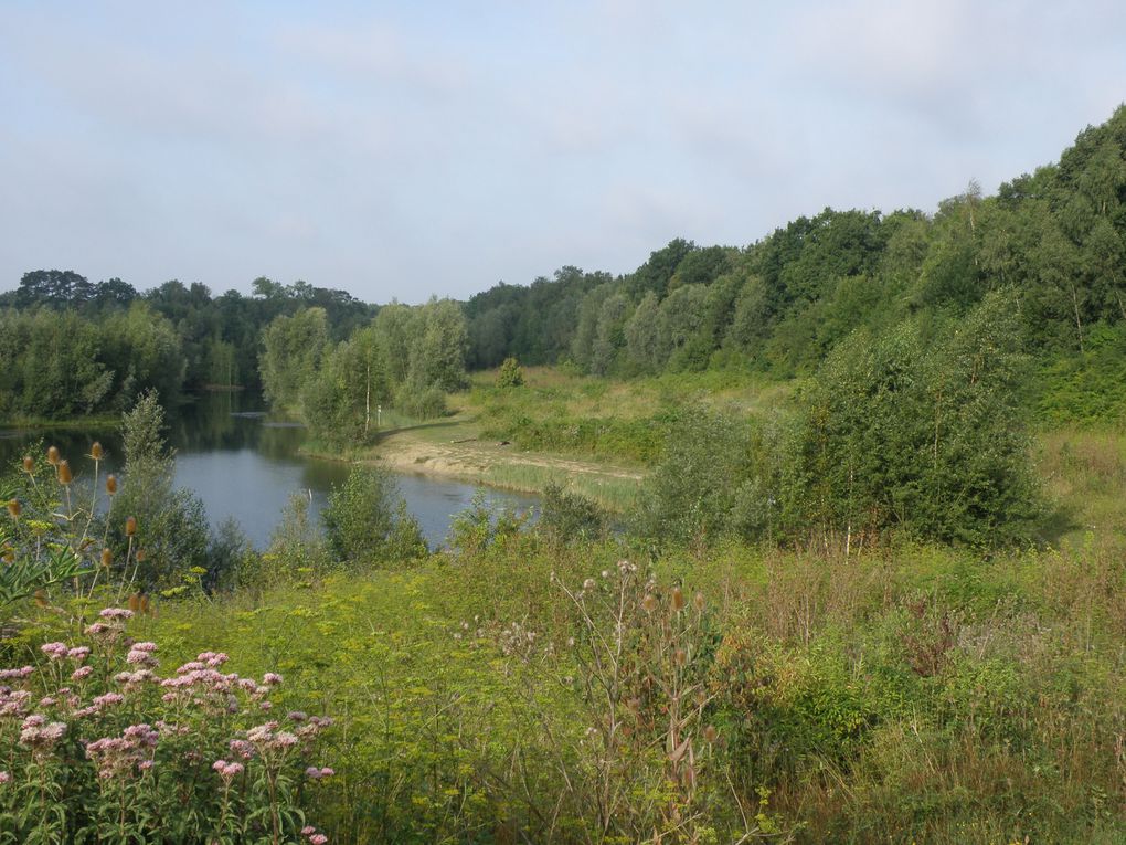 les corons , terrils chevalements ronds points