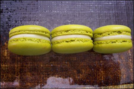 Macaron huile d olive