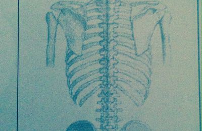 Le dos enregistre et reflète tout les maux 
