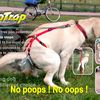 Le Pootrap, la couche pour chien