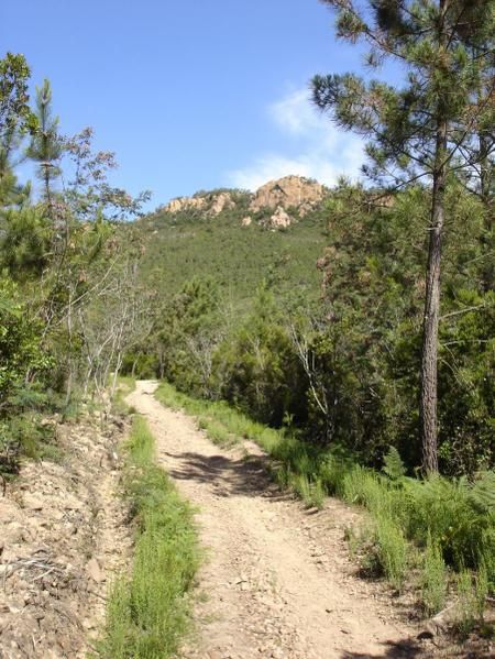 Photos de randonnées dans le Var et les Alpes-Maritimes