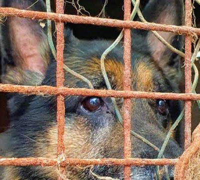 ‘’J'espère que cela fait réfléchir’’ 