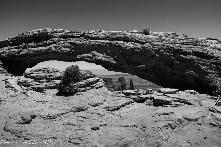 On the road again....

4500km par 40°C de San Francisco à Albuquerque

Quelques images pêle-mêle...