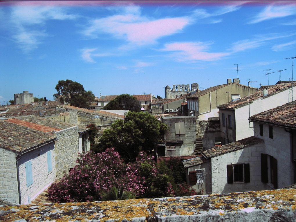 Album - Grau-du-roi-et-Aigues-Mortes-18062010