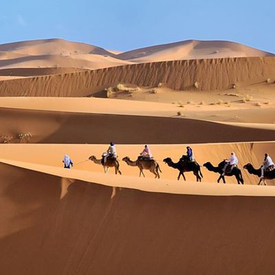 Randonnée en chameau et nuit à l’erg Chebbi - Merzouga, Maroc‎