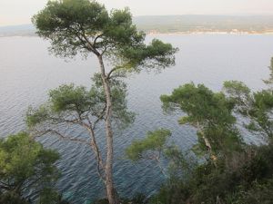 Boucle : Port de la madrague - domaine de la martelle - dune de sable - chemin des vignes - calanque de port d'alon - chemin du littoral -pointe Fauconnière -pointe du grenier - Port de la madrague 