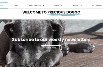 Best dog blog