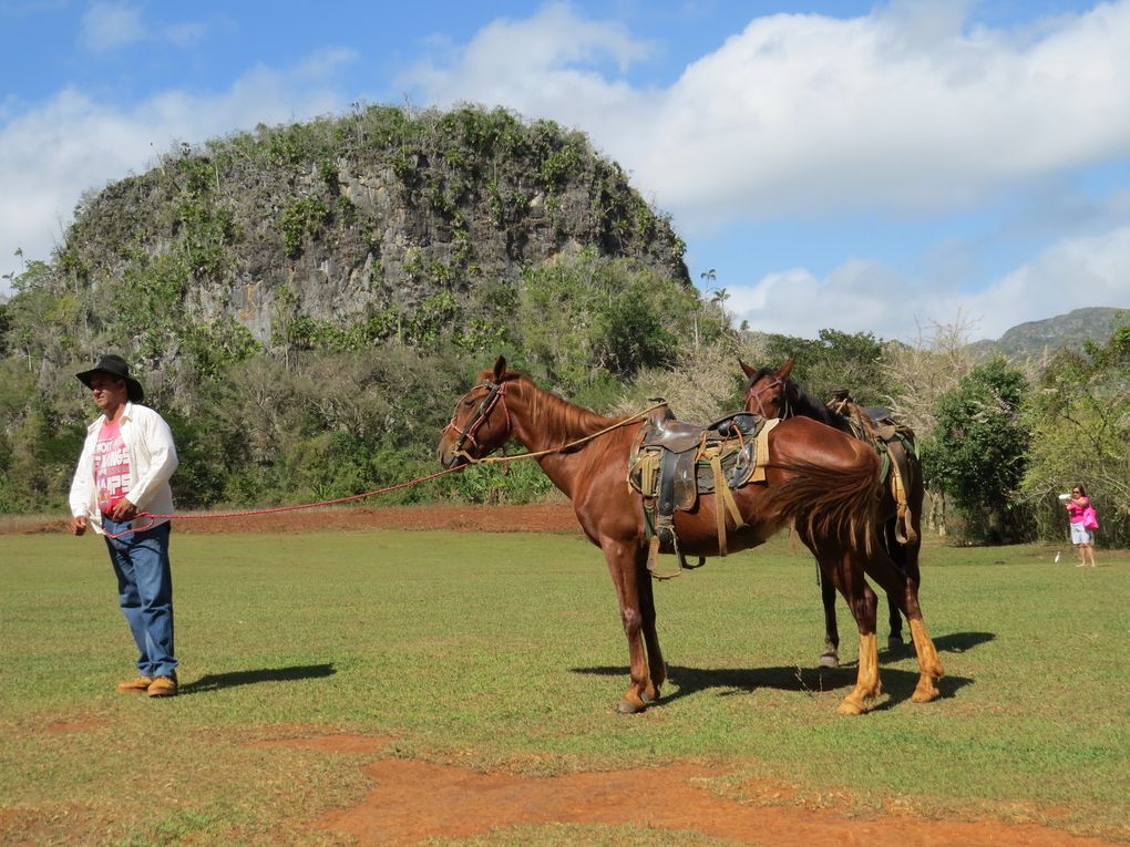 Viaje por Cuba...... Circuit ouest : Pinar del Rio et Vinales.