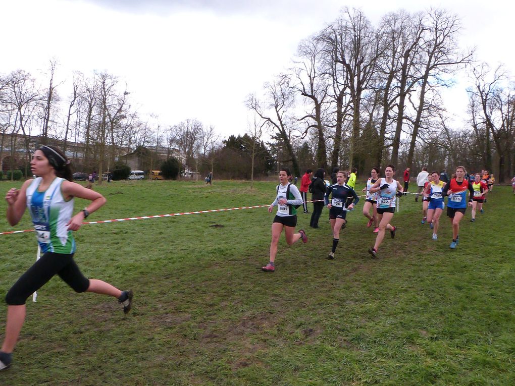 Championnats départementaux de cross, Noisiel, le 11/01/2105