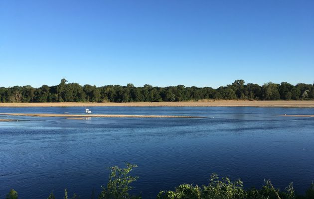 La Loire en Indre et Loire (37)