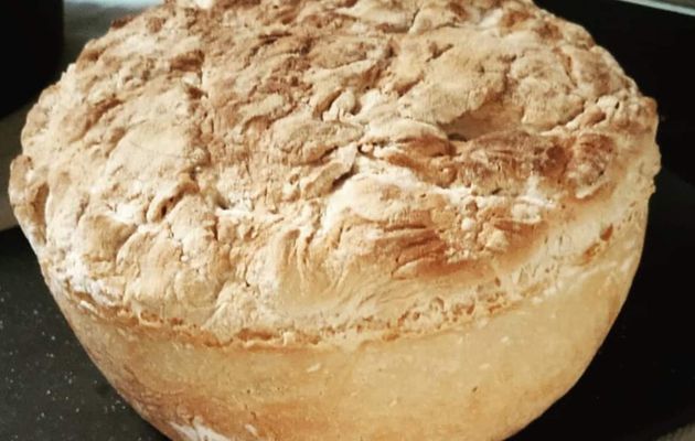 Mon pain champignon sans gluten à la farine de pois chiches au cake factory. 