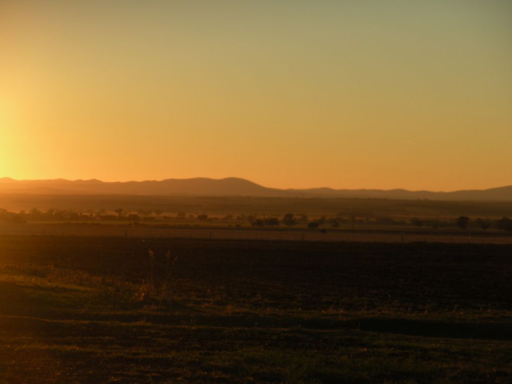 Une journée passée dans les Flinders Ranges, parc naturel de South Australia