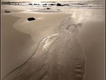 La plage de la Govelle à Batz-sur-Mer à marée basse