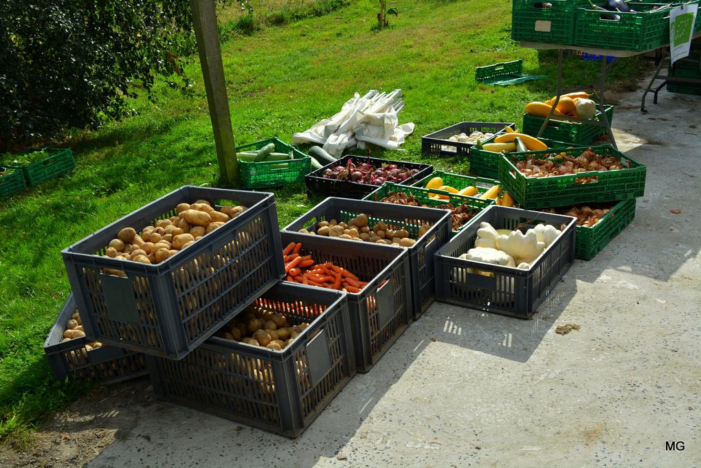 La Ferme du Tertre à Villers-au-Tertre - Photos : 10 septembre 2021.