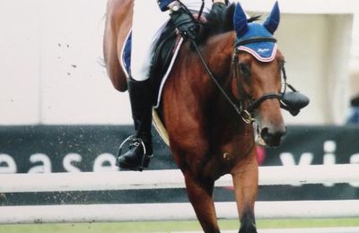 Royôme de Lancelot, Selle Français de 9 ans : 5ème championnat de France