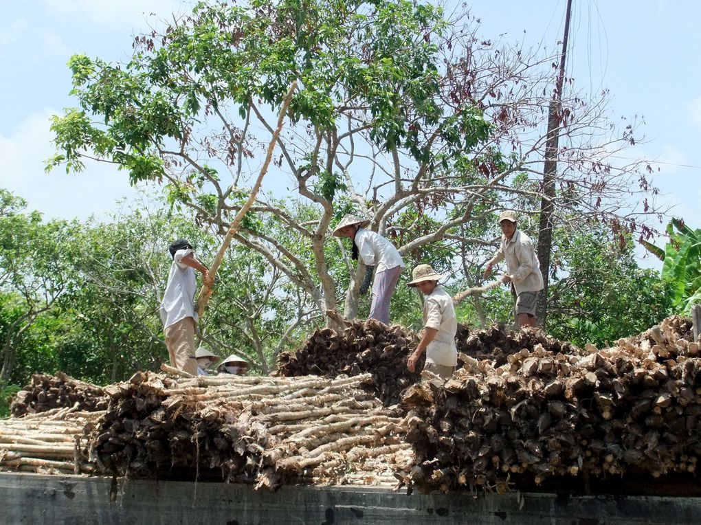 Album - VIETNAM