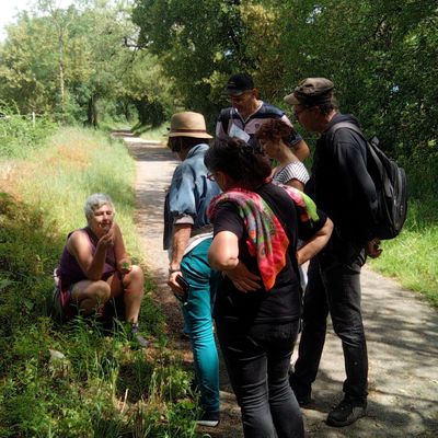 Promenade à la découverte des richesses floristiques de Soucirac