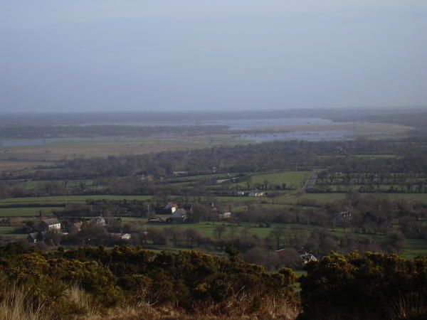 image du marais du bessin