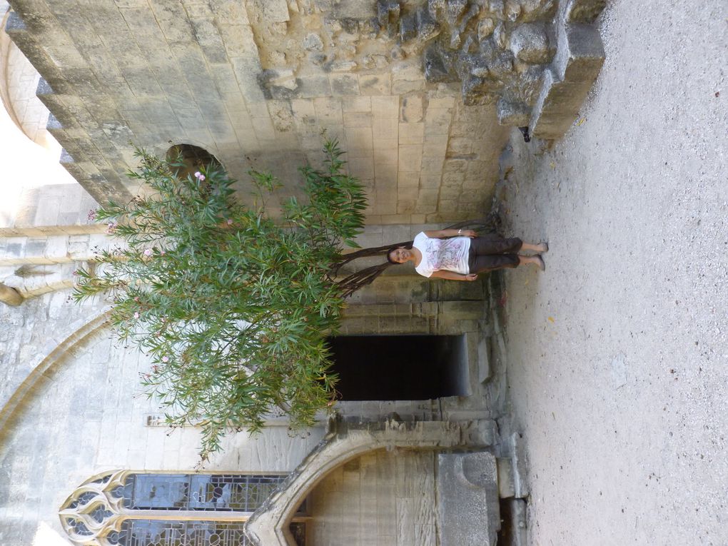 Week-end en amoureux à Arles (du 14 août 2014 au 16 août 2014)