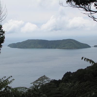 Queen Charlotte Track