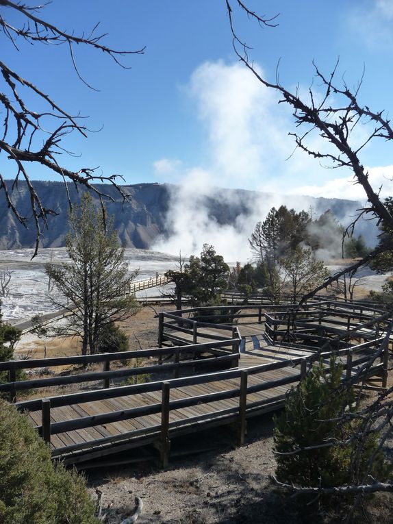 Album - 15.Yellowstone (Wyoming-octobre)