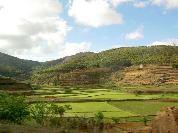 Album - Madagascar