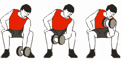 Exercice biceps haltère