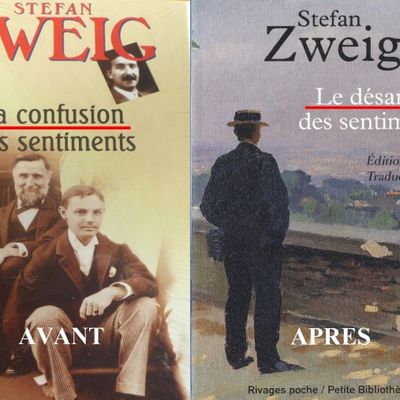 2013, L’année de Stefan Zweig !