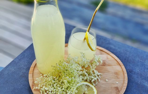 Boisson fermentée aux fleurs de sureau