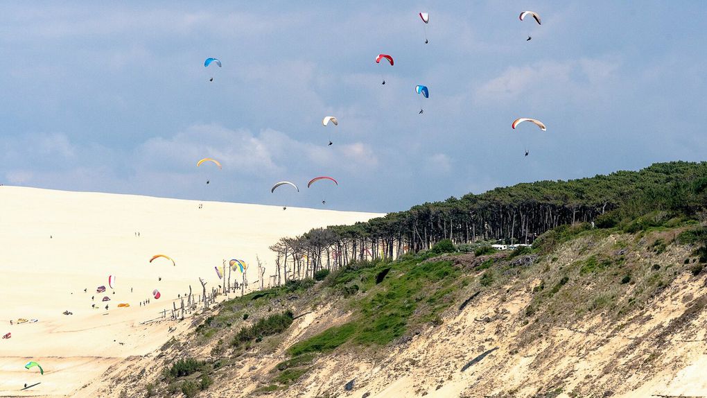 Excursion sur le Banc d'arguin situé face à la Dune du Pilat.