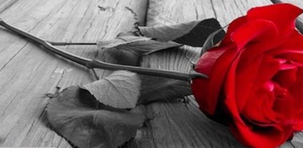 Phrases Et Expression D Amour Arabe Francais Pour Vos Amoureux Prenoms Musulmans