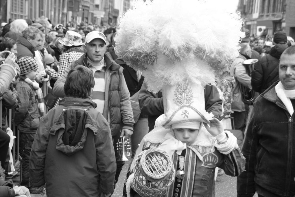 Album - Carnaval 2009 mardi gras