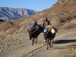 Journal du Zanskar et du Ladakh, octobre 2016