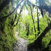 Equateur, Mindo 3ème partie, ballade à la cascada de la Reina