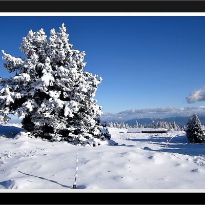 La Poutouille en hiver