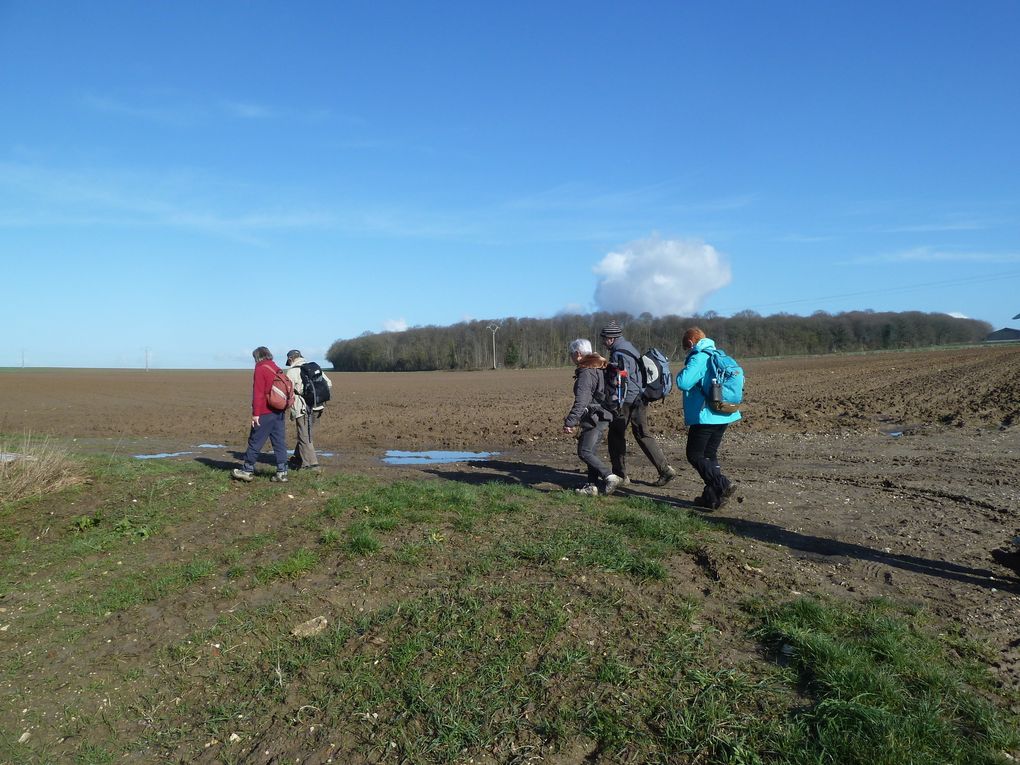Randonnée de Méry-sur-Oise à Valmondois, 23,2 km.