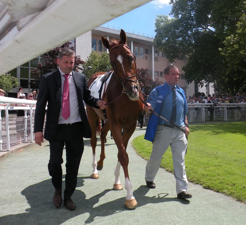 GP Paris, Prix Eugène Adam, Messidor