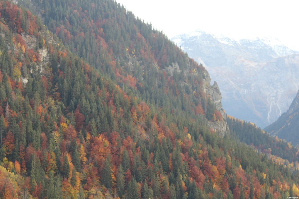 Album - Champagny automne