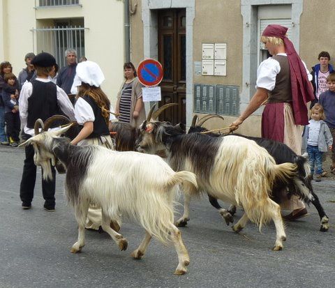 En Août 2011 à St Girons en Ariège