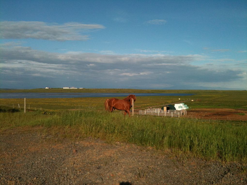 Album - Islande