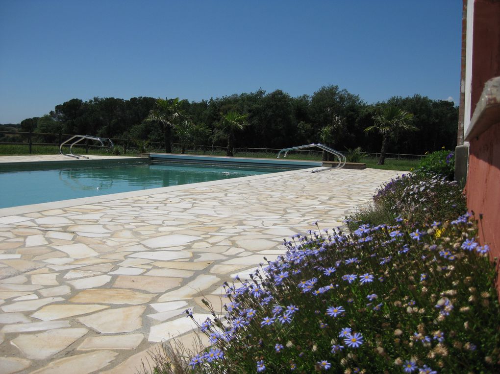 Une grande (18 X 6 m.) piscine, soucieuse de votre bien-être